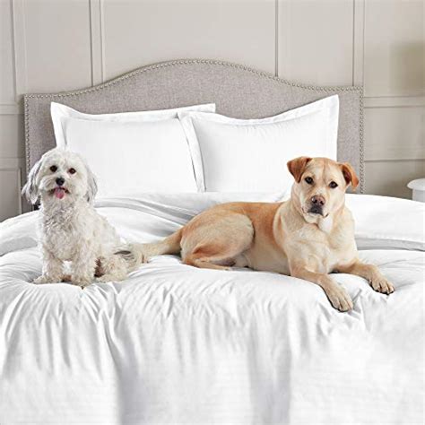 queen bed sheets no dog hair